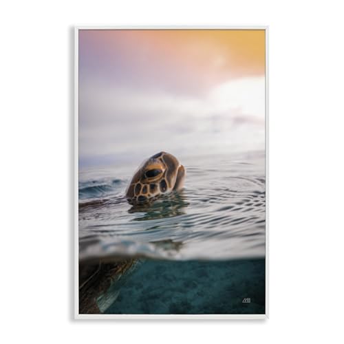 Stupell Industries Max Blakesberg Studios Turtle Swim at Sunrise, gerahmt, Giclée-Wandkunst, 30,5 x 45,7 cm, Weiß von Stupell Industries