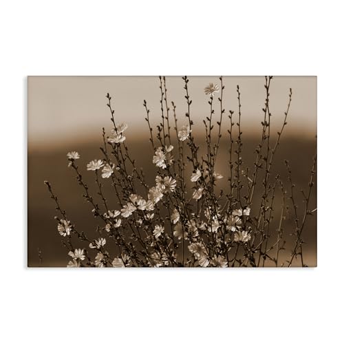 Stupell Industries Nancy Crowell Leinwandbild, Motiv Tiny Blooming Flowers, 61 x 40 cm von Stupell Industries