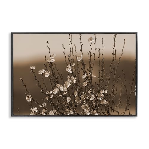 Stupell Industries Nancy Crowell Tiny Blooming Flowers Giclée-Wandkunst, gerahmt, Schwarz, 45,7 x 30,5 cm von Stupell Industries