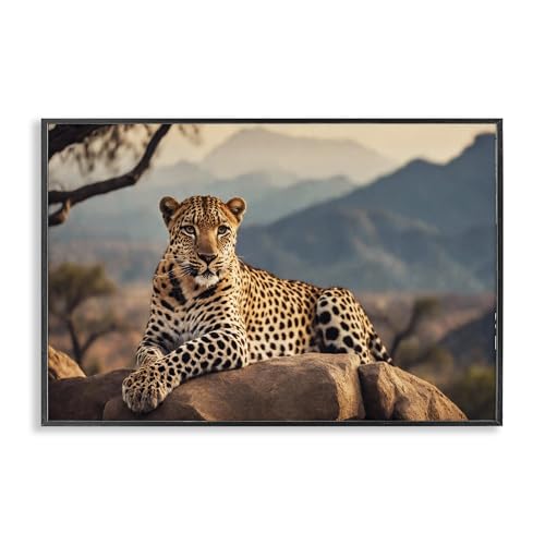 Stupell Industries Noah Bay Wandkunst, Motiv Intense Watching Cheetah Giclée, gerahmt, 61 x 40 cm, Schwarz von Stupell Industries