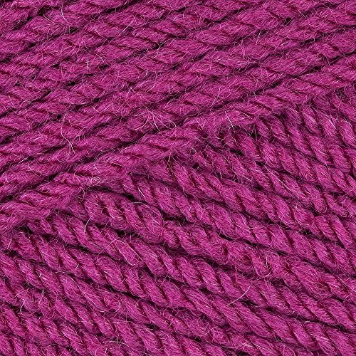 5 x 100 g Stylecraft Special DK Double Knit-Wolle, Garn 5er Pack. 5 x 100g Boysenberry 1828 von Stylecraft