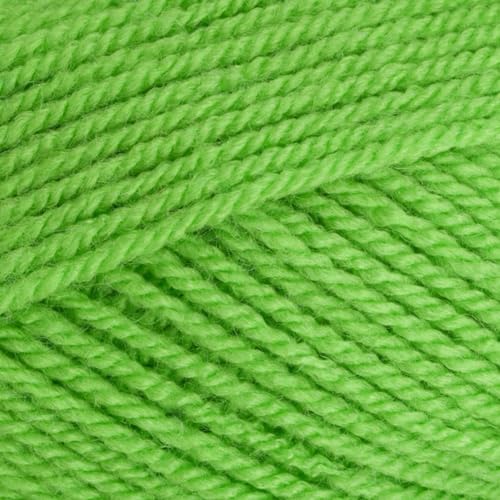 Stylecraft 9041821 Special DK Garn Grasgrün (1821), 100 g von Stylecraft