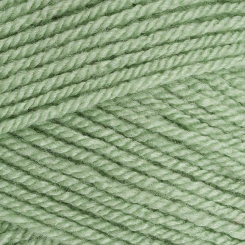 Stylecraft 9041834 Special DK Lincoln (1834) Garn, 100 g von Stylecraft