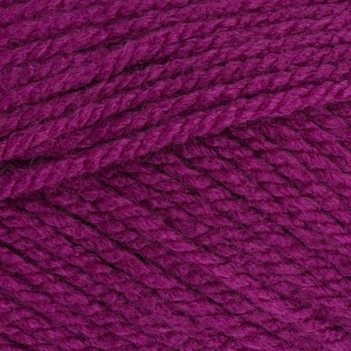 Stylecraft 9051061 Special Aran Plum (1061) Garn, 100 g von Stylecraft