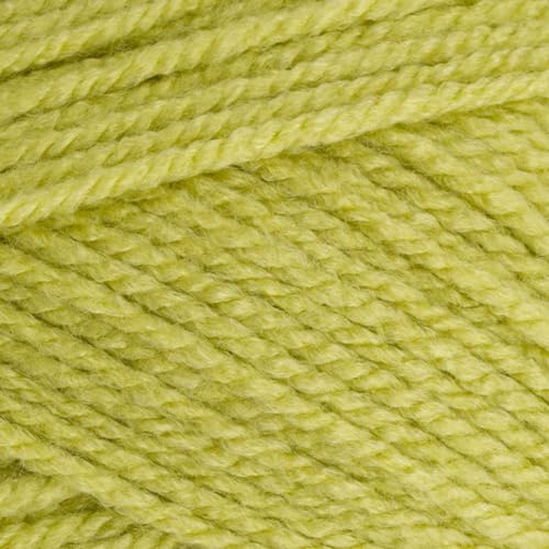 Stylecraft 9051822 Special Aran Pistazie (1822) Garn, 100 g von Stylecraft