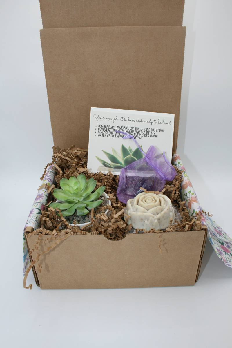 Versand Hugs | Get Well Soon Geschenkbox Feel Better Geschenk Denk An Dich Good Vibes Gute Wünsche| Pflege von SucculentGiftBoxShop