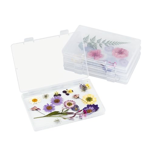 Suerhatcon Getrocknete Blumen Aufbewahrungsbox Set - 4 Stück Trockenblumen Konservierungs Set mit 60 Blatt Schneebirnenpapier, 60 Versiegelte Beutel und 8 Trockenmittel Suerhatcon Getrocknete Blumen Aufbewahrungsbox Set - 4 Stück Trockenblumen Konservierungs Set mit 60 Blatt Schneebirnenpapier, 60 Versiegelte Beutel und 8 Trockenmittel von Suerhatcon