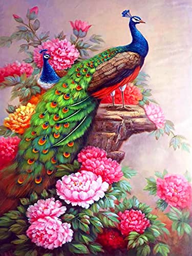 Sugamm 5D Diamond Painting Kit Pfau Vogel Runder Full Drill Set, DIY Diamant Painting Bilder Blume Kristall Stickerei Kreuzstich Home Schlafzimmer Büro Wanddekoration 30x40 cm von Sugamm