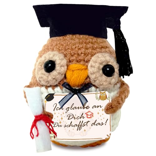 Sumtoco Bachelor Geschenk 2025, Prüfung Geschenk, Gestrickte Eule Positive Geschenke, Pocket Hug Eule, Bachelor Master Abitur 2025, Abi 2025 Geschenke, Positive Kartoffel Deutsch, Prüfung Bestanden von Sumtoco