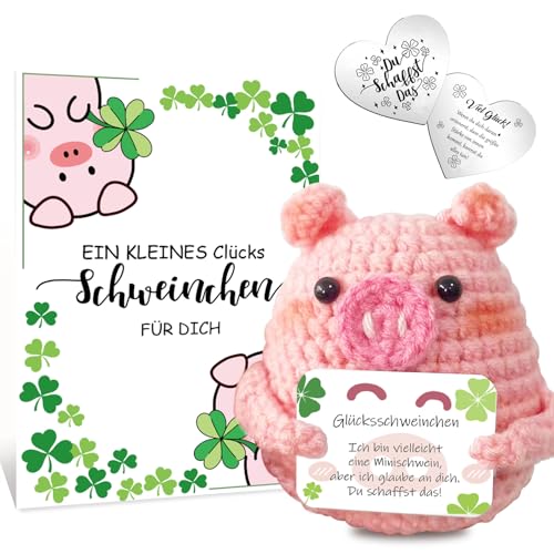 Sumtoco Glücksbringer, Glücksschweinchen, Einschulung Geschenk, Positive Kartoffel, Pocket Hug Kreative Strickwolle Puppe Mit Postkarte Glücksbringer, Schulkind Geschenk, Glücksbringer Prüfung von Sumtoco