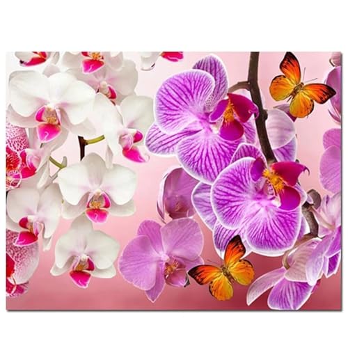 Diamond Painting Orchideen-Schmetterling,Diamant Painting Bilder Set für Erwachsene,Full 5D DIY Diamant Kunst Malerei Strass Stickerei Set Kreuzstich Bilder Home Wand Dekor Round Drill,40x60cm von Suneve