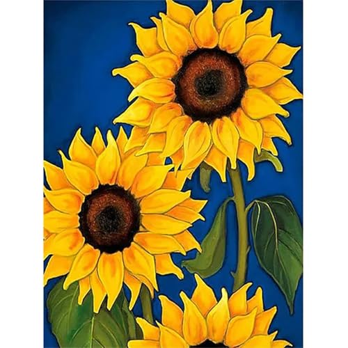 Malen Nach Zahlen Erwachsene Gelbe Blume,DIY Sonnenblume Handgemalt Ölgemälde Kit für Anfänger,mit Pinseln und Acrylfarben für Geschenk und Home Wall Decor(Mit Rahmen) - 60x75cm von Suneve