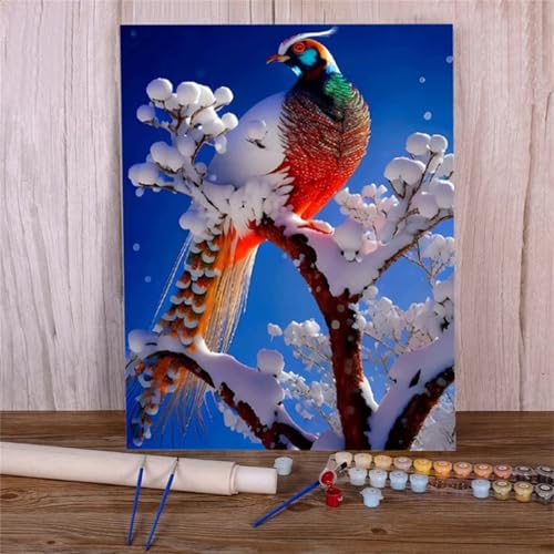 Malen Nach Zahlen Erwachsene Schöner Pfau,DIY Schnee Handgemalt Ölgemälde Kit für Anfänger,mit Pinseln und Acrylfarben für Geschenk und Home Wall Decor(Mit Rahmen) - 40x50cm von Suneve