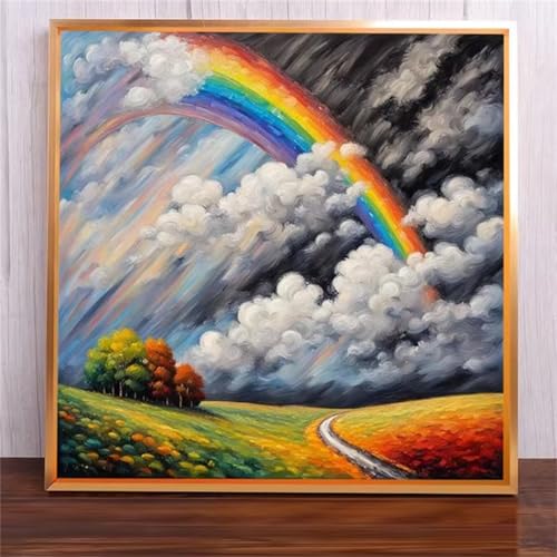 Suneve Malen Nach Zahlen Erwachsene,DIY Regenbogenwolken Handgemalt Ölgemälde Kit Paint by Numbers mit 3-Pinseln und Acrylfarbe Ohne Rahmen für Geschenk Heimdekoration - 30x30cm von Suneve