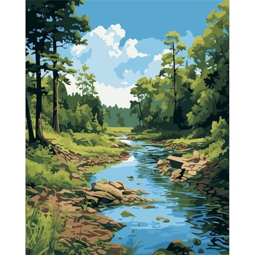 Suneve Malen Nach Zahlen Erwachsene Bewaldeter Fluss,DIY Landschaft Handgemalt Ölgemälde Kit für Anfänger,mit Pinseln und Acrylfarben für Geschenk und Home Wall Decor(Mit Rahmen) - 50x65cm von Suneve