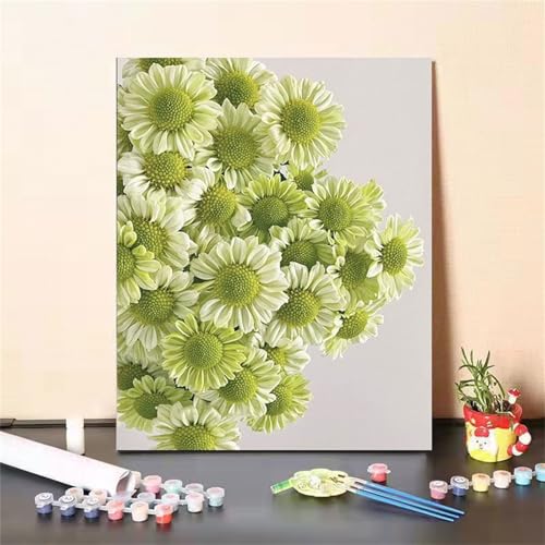 Suneve Malen Nach Zahlen Erwachsene Grüne Gänseblümchen,DIY Blumen Handgemalt Ölgemälde Kit für Anfänger,mit Pinseln und Acrylfarben für Geschenk und Home Wall Decor(Mit Rahmen) - 45x60cm von Suneve