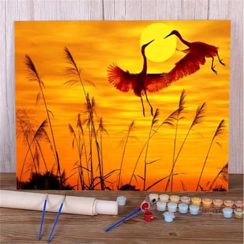 Suneve Malen Nach Zahlen Erwachsene Landschaft Mond,DIY Vögel Handgemalt Ölgemälde Kit für Anfänger,mit Pinseln und Acrylfarben für Geschenk und Home Wall Decor(Mit Rahmen) - 50x65cm von Suneve