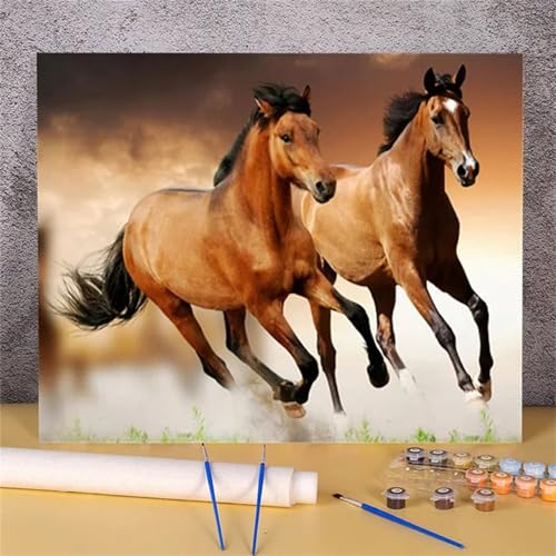 Suneve Malen Nach Zahlen Erwachsene Laufende Pferde,DIY Tiere Handgemalt Ölgemälde Kit für Anfänger,mit Pinseln und Acrylfarben für Geschenk und Home Wall Decor(Mit Rahmen) - 30x40cm von Suneve