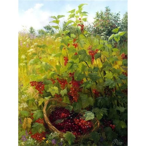 Suneve Malen Nach Zahlen Erwachsene Obst Trauben,DIY Landschaft Handgemalt Ölgemälde Kit für Anfänger,mit Pinseln und Acrylfarben für Geschenk und Home Wall Decor(Mit Rahmen) - 55x70cm von Suneve