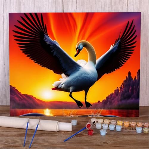 Suneve Malen Nach Zahlen Erwachsene Sonnenaufgang Landschaft,DIY Vögel Handgemalt Ölgemälde Kit für Anfänger,mit Pinseln und Acrylfarben für Geschenk und Home Wall Decor(Mit Rahmen) - 40x50cm von Suneve