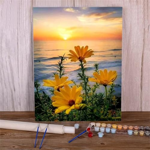 Suneve Malen Nach Zahlen Erwachsene Sonnenuntergang Gänseblümchen,DIY Ozean Handgemalt Ölgemälde Kit für Anfänger,mit Pinseln und Acrylfarben für Geschenk und Home Wall Decor(Mit Rahmen) - 55x70cm von Suneve