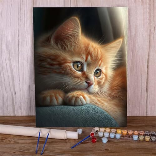 Suneve Malen Nach Zahlen Erwachsene Süße Katze,DIY Tier Handgemalt Ölgemälde Kit für Anfänger,mit Pinseln und Acrylfarben für Geschenk und Home Wall Decor(Mit Rahmen) - 30x40cm von Suneve