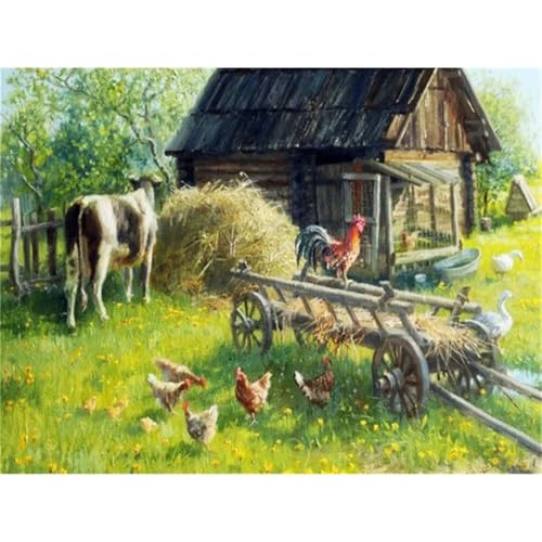 Suneve Malen Nach Zahlen Erwachsene Tier Huhn,DIY Wiese Handgemalt Ölgemälde Kit für Anfänger,mit Pinseln und Acrylfarben für Geschenk und Home Wall Decor(Mit Rahmen) - 30x40cm von Suneve