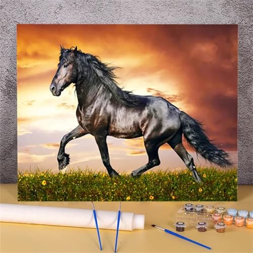 Suneve Malen Nach Zahlen Erwachsene Tier Pferd,DIY Schwarz Handgemalt Ölgemälde Kit für Anfänger,mit Pinseln und Acrylfarben für Geschenk und Home Wall Decor(Mit Rahmen) - 40x50cm von Suneve