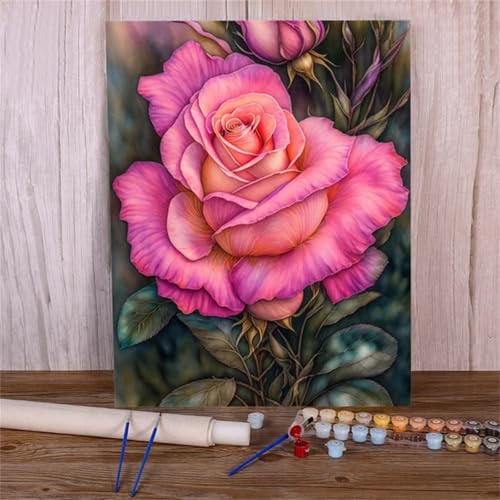 Suneve Rosa Rosen Malen Nach Zahlen,Blumen Malen Nach Zahlen für Erwachsene und Anfänger,mit Pinseln und Acrylfarben(Ohne Rahmen),für Home Wanddekoration - 30x40cm von Suneve