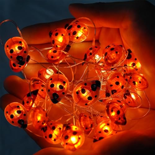 Sunshine smile Marienkäfer Lichterkette,2M 20LED Leuchtende Marienkäfer Lichterkette,Käfer Leuchte Wasserdicht Marienkäfer Lichterkette Deko für Garten,Blume,Terrasse,Weihnachten,Hochzeiten,Partys von Sunshine smile