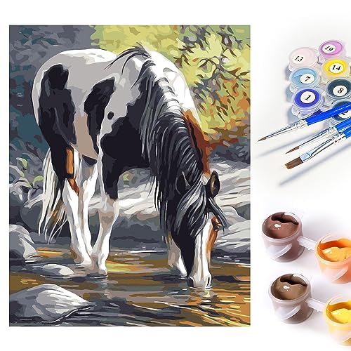 SupLetsico Malen Nach Zahlen Erwachsene Pferd DIY Handgemalt Ölgemälde Kit Pferde Acrylpigment Malen Nach Zahlen Geschenke und Wanddekoration - 40 x 50 cm rahmenlos von SupLetsico