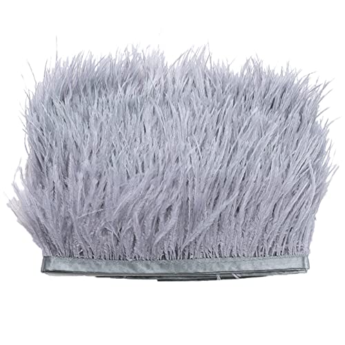 2M Straußenfedern Fringe Trim,Straußenfedern Borte Fransen mit Satinband Natürlichen Feder Fransen für Kleid Nähen Handwerk Kostüme Dekoration DIY Deko Federn basteln,Halloween Federband Bastelzubehör 2M Straußenfedern Fringe Trim,Straußenfedern Borte Fransen mit Satinband Natürlichen Feder Fransen für Kleid Nähen Handwerk Kostüme Dekoration DIY Deko Federn basteln,Halloween Federband Bastelzubehör von Surakey