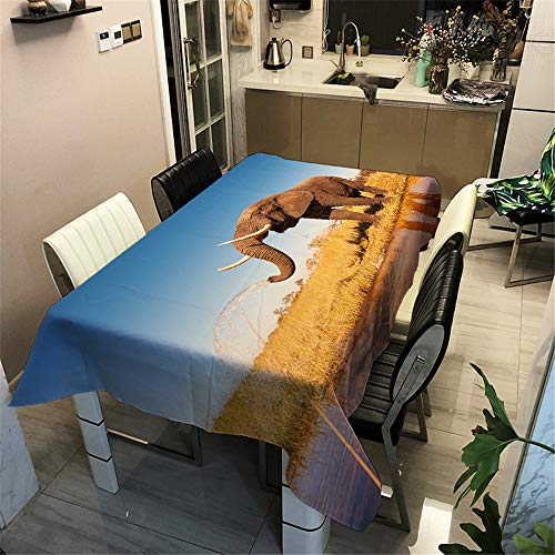 Surwin Tischtuch Drucken Tischdecke, Rechteckige Tischdecke Fleckschutz Pflegeleicht Abwaschbar Wählbar für Home Küche Dekoration (Spritzender Elefant,60x60cm) von Surwin