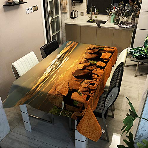 Surwin Tischtuch Drucken Tischdecke, Rechteckige Tischdecke Fleckschutz Pflegeleicht Abwaschbar Wählbar für Home Küche Dekoration (Wüstenelefant,140x160cm) von Surwin