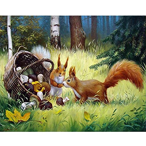 Diamond Painting Set Full Groß Eichhörnchen 5D Diamant Painting Bilder Erwachsene Kinder DIY Diamant Malerei Kits Cross Stitch Stickerei Crystal Strass Craft für Home Wall Décor Square Drill 40x50cm von Sxrzl