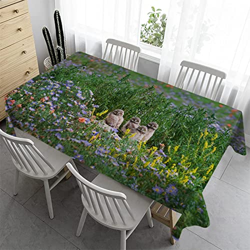 Syhi Qlty Abwischbare Tischdecke 140x200 cm - Outdoor Tischdecke Bierzeltgarnitur Wasserabweisend Tischtuch Bügelfreie Garten Tischdecken für Draußen Party - GrüNes Gras von Syhi Qlty