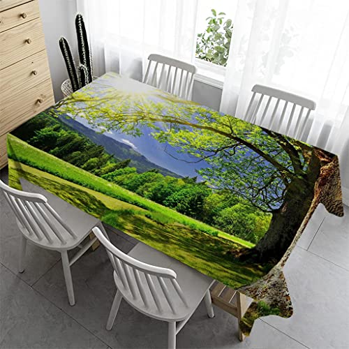 Syhi Qlty Bierzeltgarnitur Klein Tischdecke Abwaschbar 100x140 cm - Tischdecke Outdoor Tischdecken Fleckschutz Gartentischdecke Wasserabweisend Stoff Table Cloth - Grüne Pflanzen 2 von Syhi Qlty