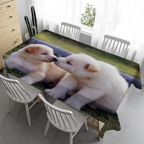 Syhi Qlty Klein Tischdecke 80x80 cm - Hund Süß Tischdecke Outdoor Abwaschbar Gartentischdecke Eckig Tischdecken Wasserabweisend Fleckschutz für Geburtstag Bierzeltgarnitur von Syhi Qlty