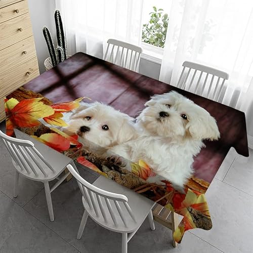 Syhi Qlty Klein Tischdecke 80x80 cm - Süßer Hund Tischdecke Outdoor Abwaschbar Gartentischdecke Eckig Tischdecken Wasserabweisend Fleckschutz für Geburtstag Bierzeltgarnitur von Syhi Qlty