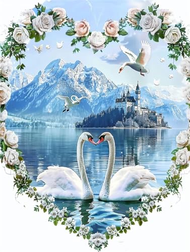 Diamond Painting Schwan 5D DIY Diamond Painting 30x40cm, Landschaft Diamond Painting Erwachsene Bastelset, Full Drill Eckige Diamant Art Painting Stickerei Set, Geschenke für Frauen Deko -Y1050 von Syiboo