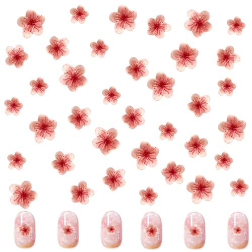 Blumen Nagelkunst Charms, 150 Stück Flower Nail Charms 3D Nägel Dekorations, Acryl Flower Nagelkunst Strasssteine Zubehör für DIY Art Nageldesign (Rote Kirschblüten Ngel edelsteine) von Symphonyw