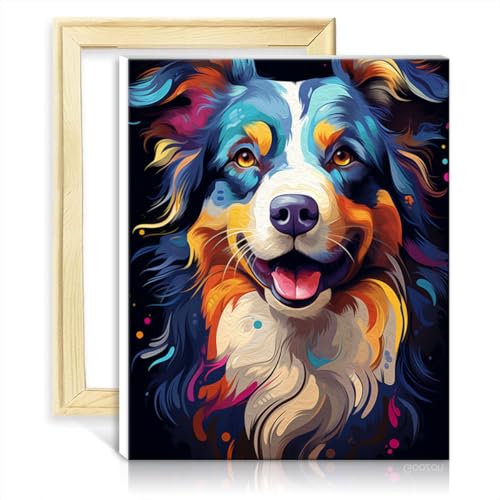 TANGFEIY Malen nach Zahlen, Australian Shepherd, Wanddekoration für Kinder und Erwachsene – Acrylzahlen mit Pinseln, Zahlenmalerei, Anti-Stress-Spielzeug, ohne Rahmen (30 x 40 cm) von TANGFEIY