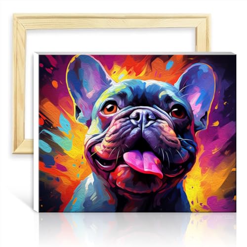 TANGFEIY Malen nach Zahlen, Französische Bulldogge, Wanddekoration für Kinder und Erwachsene – Acrylzahl mit Pinseln, dekorativ für Zuhause und Wohnzimmer, mit Rahmen (40 x 50 cm) von TANGFEIY