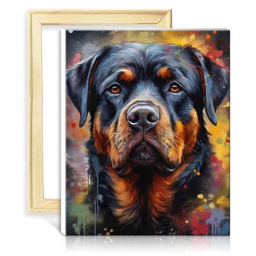 TANGFEIY Malen nach Zahlen, Rottweiler-Gemälde, Malen nach Zahlen, Erwachsene, Kinder, Anfänger, mit Pinseln und Acrylfarbe auf Leinwand mit Rahmen (40 x 50 cm) von TANGFEIY