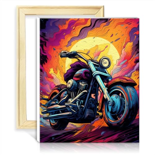 TANGFEIY Malen nach Zahlen auf Leinwand, Motorrad, DIY, digitales Malen nach Zahlen, Acrylzahlen mit Pinseln, Kunsthandwerk für Heimdekoration, ohne Rahmen (40 x 50 cm) von TANGFEIY