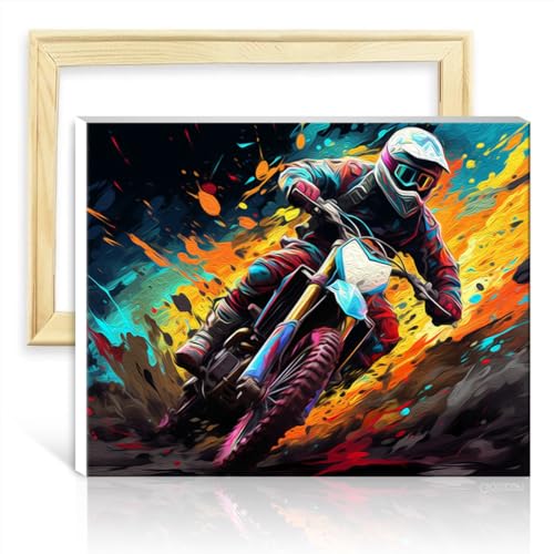 TANGFEIY Ölgemälde-Set, Malen nach Zahlen, Motorradfahrer, Wanddekoration für Kinder und Erwachsene – Acrylzahlen mit Pinseln, Wanddekoration, Geschenke, ohne Rahmen (60 x 75 cm) von TANGFEIY