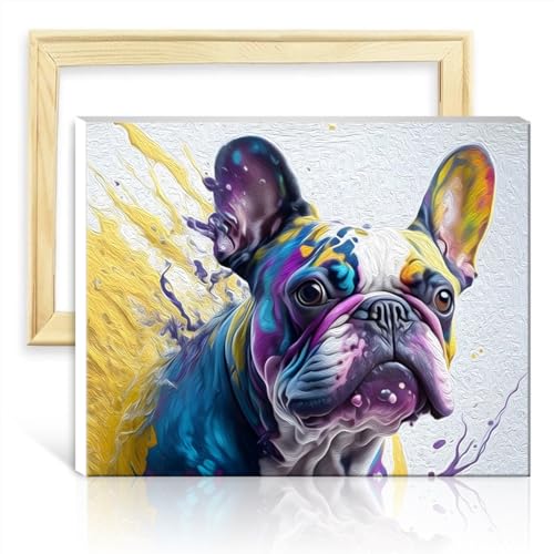 TANGFEIY Ölgemälde auf Leinwand, Französische Bulldogge, Malen nach Zahlen-Set für Erwachsene mit Pinseln und Acrylpigmenten auf Leinwand, Bild für Graffiti-Liebhaber mit Rahmen (30 x 40 cm) von TANGFEIY