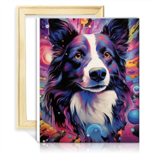 TANGFEIY Ölgemälde nach Zahlen-Set, Border Collie, auf Leinwand, Gemälde für Erwachsene mit Pinseln und Acrylfarbe auf Leinwand, Bastelprojekt, ohne Rahmen (60 x 75 cm) von TANGFEIY