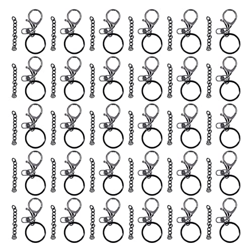 TANIQIACa 30 Sets Schlüsselanhänger-Ringe-Set aus Metall, Langlebig, DIY-Handwerk, Schlüsselanhänger-Ringe Mit Kette Für Schmuckhandwerk von TANIQIACA