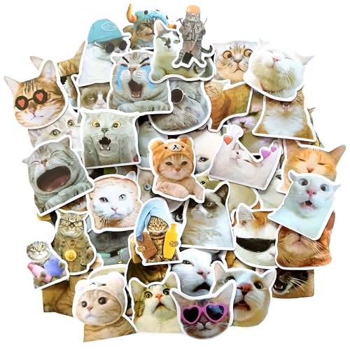 Meme sticker katzen sticker aesthetic katzen sachen cute sticker autoaufkleber katze sticker set erwachsene aesthetic sticker coole sticker funny stickers for adults katzenaufkleber katzensticker von TARIFA UNITED